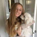 Taylor Ricks - @fluffgrooming - Instagram