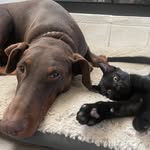 Taylor Ridge - @taylorridge003 - Instagram