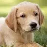 Taylor Robichaud - @user091206919 - TikTok