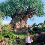 Taylor Rohr - @thetreeoftay - Instagram