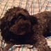 Romney Taylor - Facebook