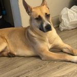 Taylor Rule - @thesilverspoon_51 - Instagram