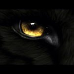 Taylor Rutledge - @taylor_the_werewolf - Instagram