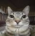 Taylor Sams - Facebook