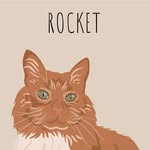 Taylor Sansom - @rocket.rocky.roo - Instagram