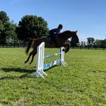 Taylor Schoonover - @schoon.over.fences - Instagram