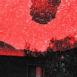Taylor Schuler - @schuler8763 - Instagram
