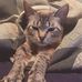 Taylor Seidel - Facebook