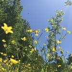 Taylor Settle - @tangyong3150 - Instagram
