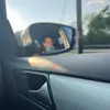 Shealeigh_taylor - @shea_taylorrr - TikTok