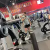 taylor.shearer1 - @taylor.shearer1 - TikTok