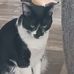 Taylor Shephard - Facebook