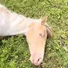 taylorshouse7777 - @taylorshouse7777 - TikTok