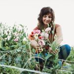 Taylor Sievers - @taysieverswrites - Instagram