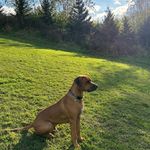 Taylor Sikora - @taylor_8733 - Instagram