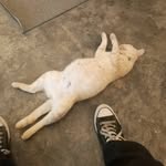 แจ็ค กี้. - @taylor_.six6 - Instagram