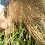 Ada Adu - @taylor.six.75 - Instagram