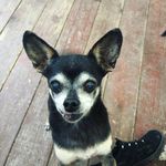 Taylor Spaulding - @taybugash - Instagram