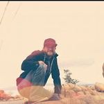 Taylor Sprague - @taylorsprague15 - Instagram