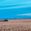 Fly By Night Farms - @taylorspringer9610 - TikTok