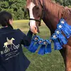 taylor.springer - @horse.tipsandtricks - TikTok
