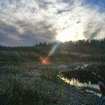Taylor Spurgeon - @adventuringwithtaylor - Instagram