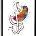 Taylor Stallard - Facebook