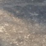Taylor Stanfield - @taylorstanfield_2003 - Instagram