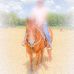 Taylor Stauffer - Facebook