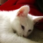 Taylor Steinhoff - @grape_soda_or_whatever_ - Instagram