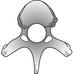Asociación Andrew Taylor Still - Facebook