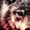 taylor stine - @yc_alphawolf - TikTok