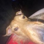 Taylor Stubbs - Facebook