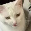 tedder taylor - @tedder.taylor - TikTok