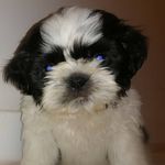 Taylor thomson - @taylorthomson5 - Instagram