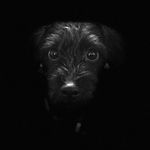 Milo Taylor Tierney - @milo_taylor_tierney - Instagram