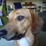 Taylor Jewel Toohey - Facebook