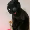 Taylor._ - @taylortruong102 - TikTok