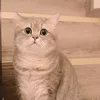 Taylortse - @taylortse - TikTok