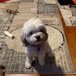 Rhonda Taylor Vanover - @rvanover12 - Instagram