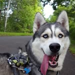 Taylor Volpe - @vorthr.the.explorthr - Instagram