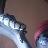 Vanicia Taylor Walden - @vaniciabby32 - TikTok