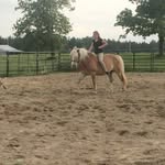 sjcss - @taylorwatters13 - Instagram