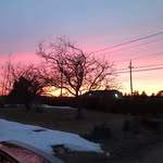 Taylor Weir - @taylorweir_16 - Instagram