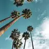 Taylor Weir - @taylorweir7 - TikTok