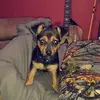 taylorwestfall966 - @taylorwestfall966 - TikTok