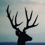 taylorwestfall - @taylorwestfall053 - Instagram