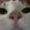 Taylor Whaley - @banana3608 - TikTok