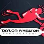 Taylor Wheaton - @taylorwheatonunderwater - Instagram
