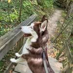 Taylor Wheeldon - @wheeldon_45 - Instagram